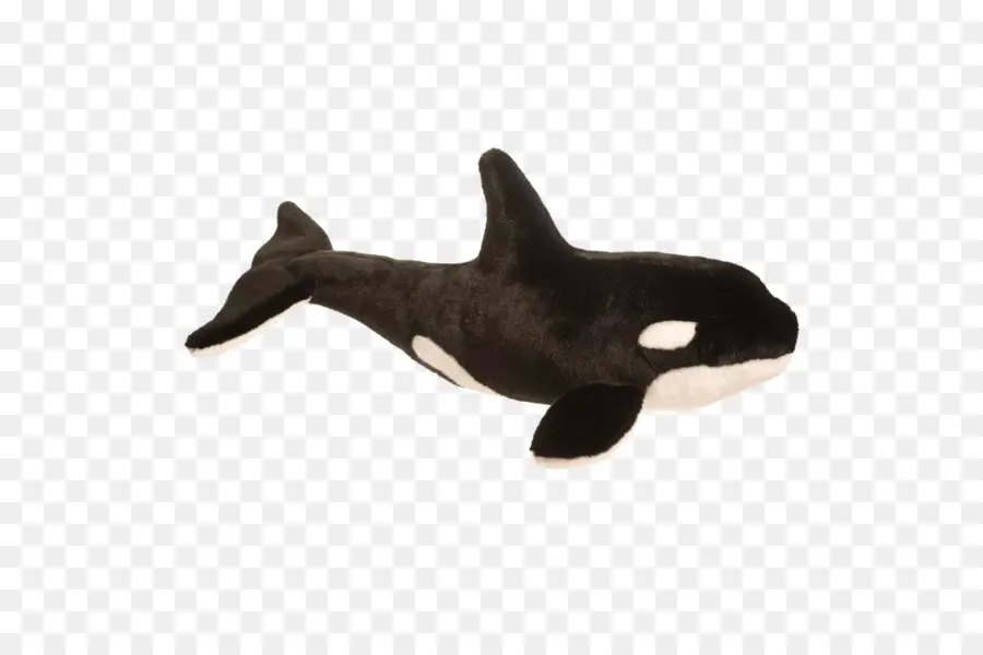 Orca，Baleia PNG