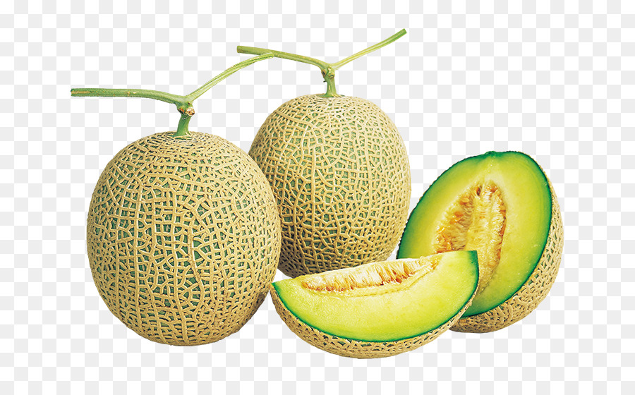 Honeydew，Cantaloupe PNG