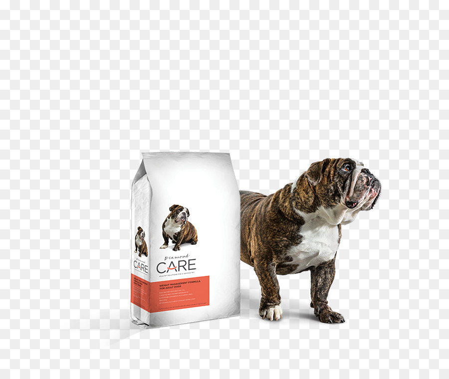 Raça Do Cão，Bulldog PNG