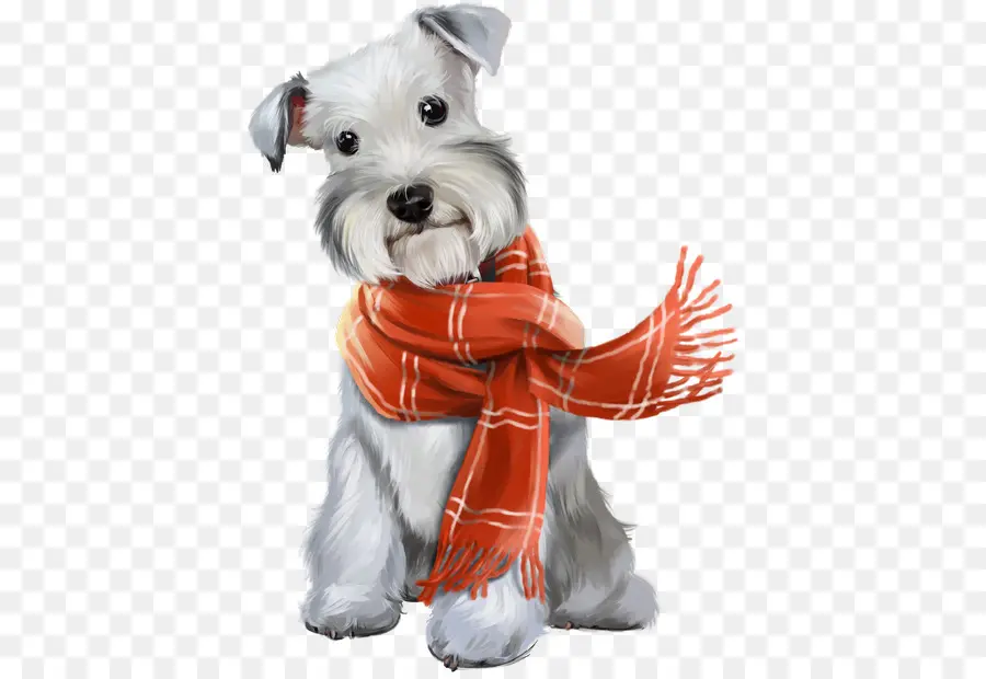 Schnauzer Miniatura，Filhote De Cachorro PNG