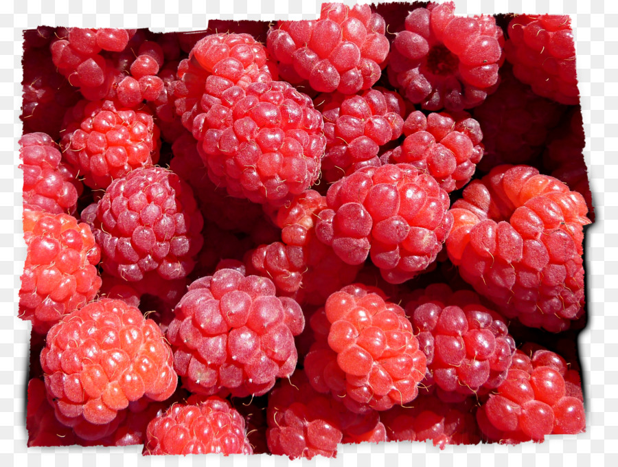 Wineberry，Loganberry PNG