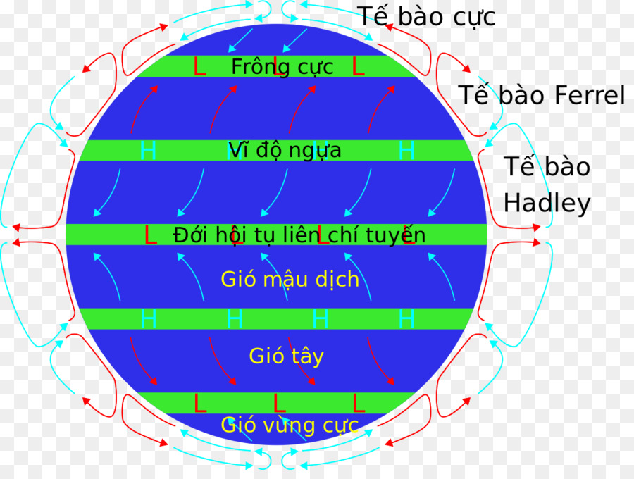 Ventos Alísios，Os Ventos Predominantes PNG