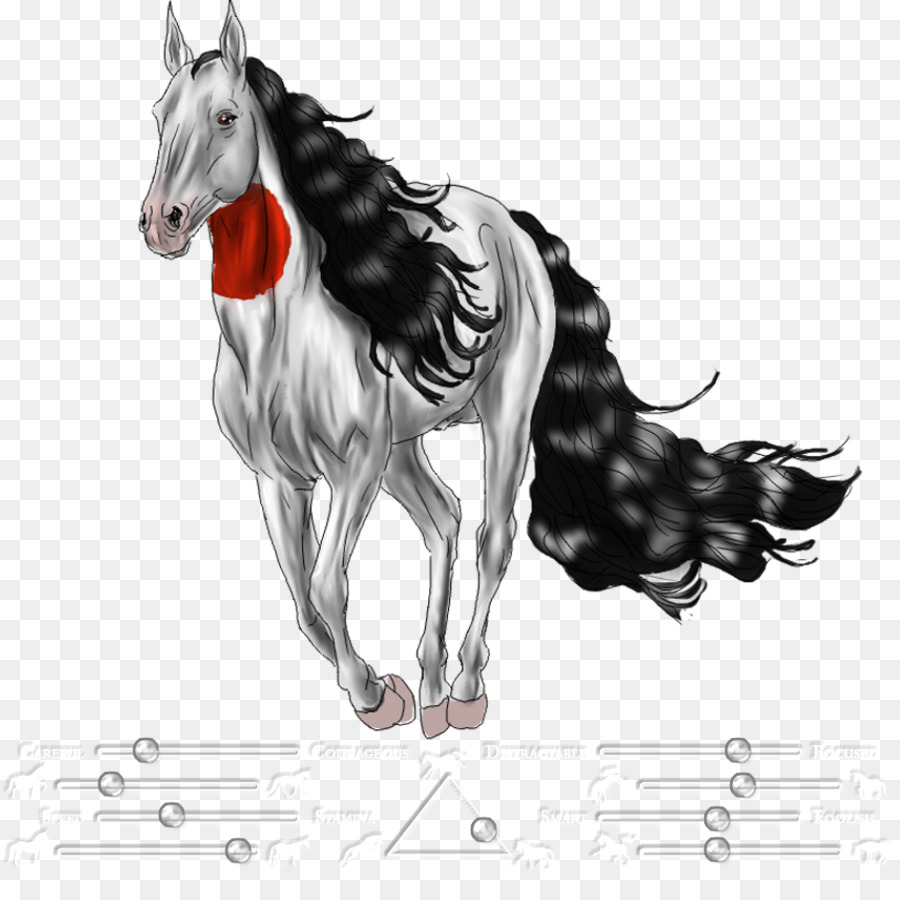 Cavalo Branco，Cavalo PNG