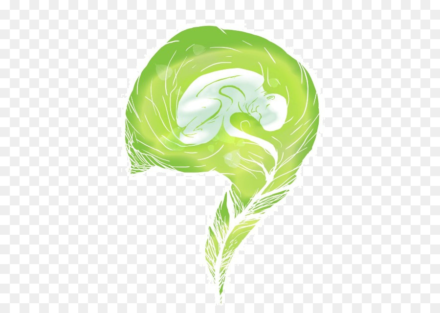 Folha，Verde PNG