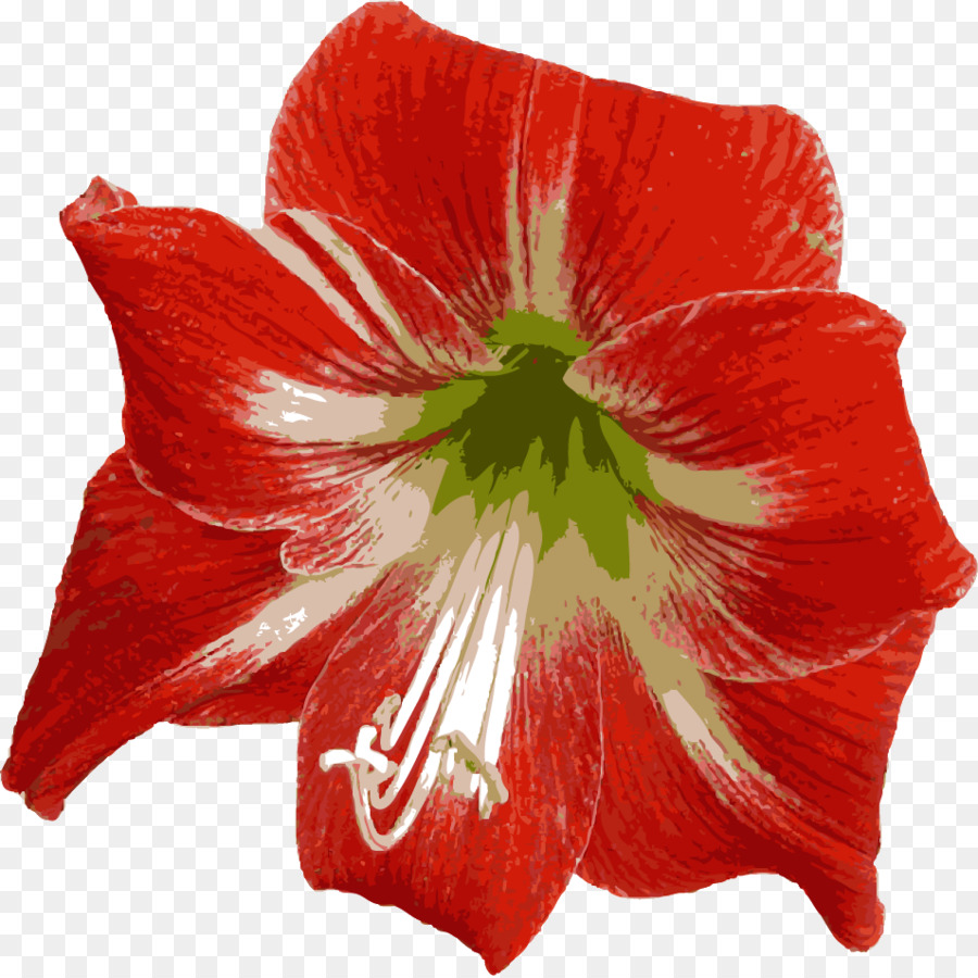 Flor Vermelha，Florescer PNG