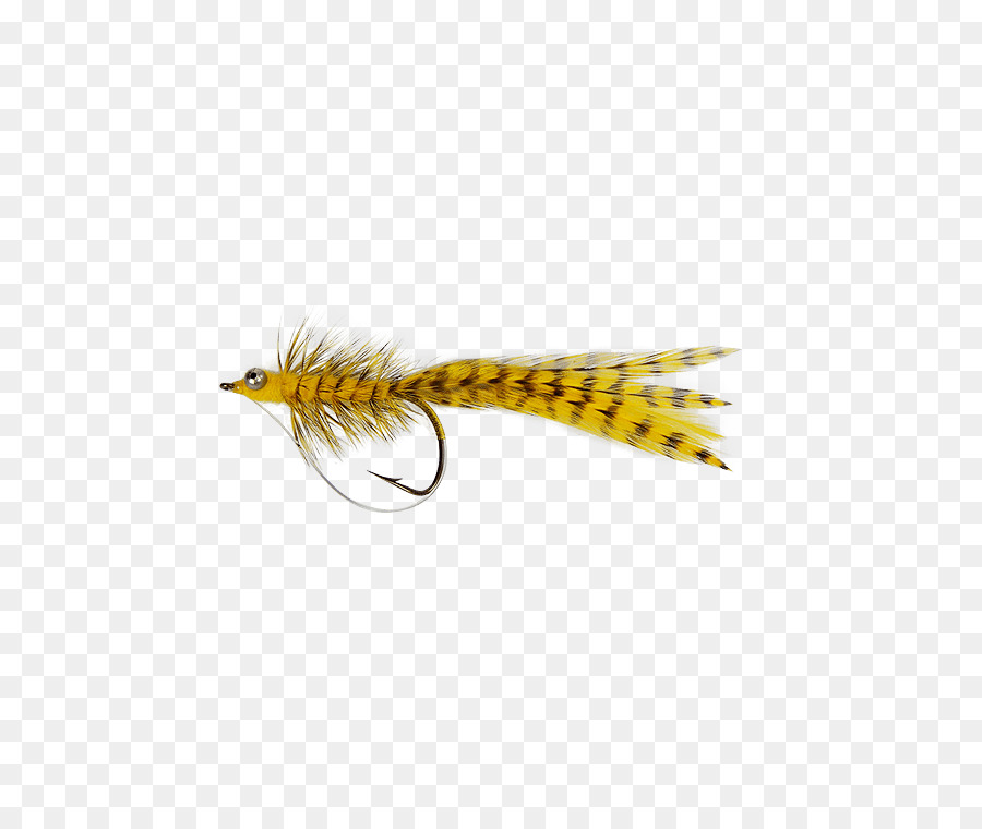 Woolly Bugger，As Lombrigas PNG