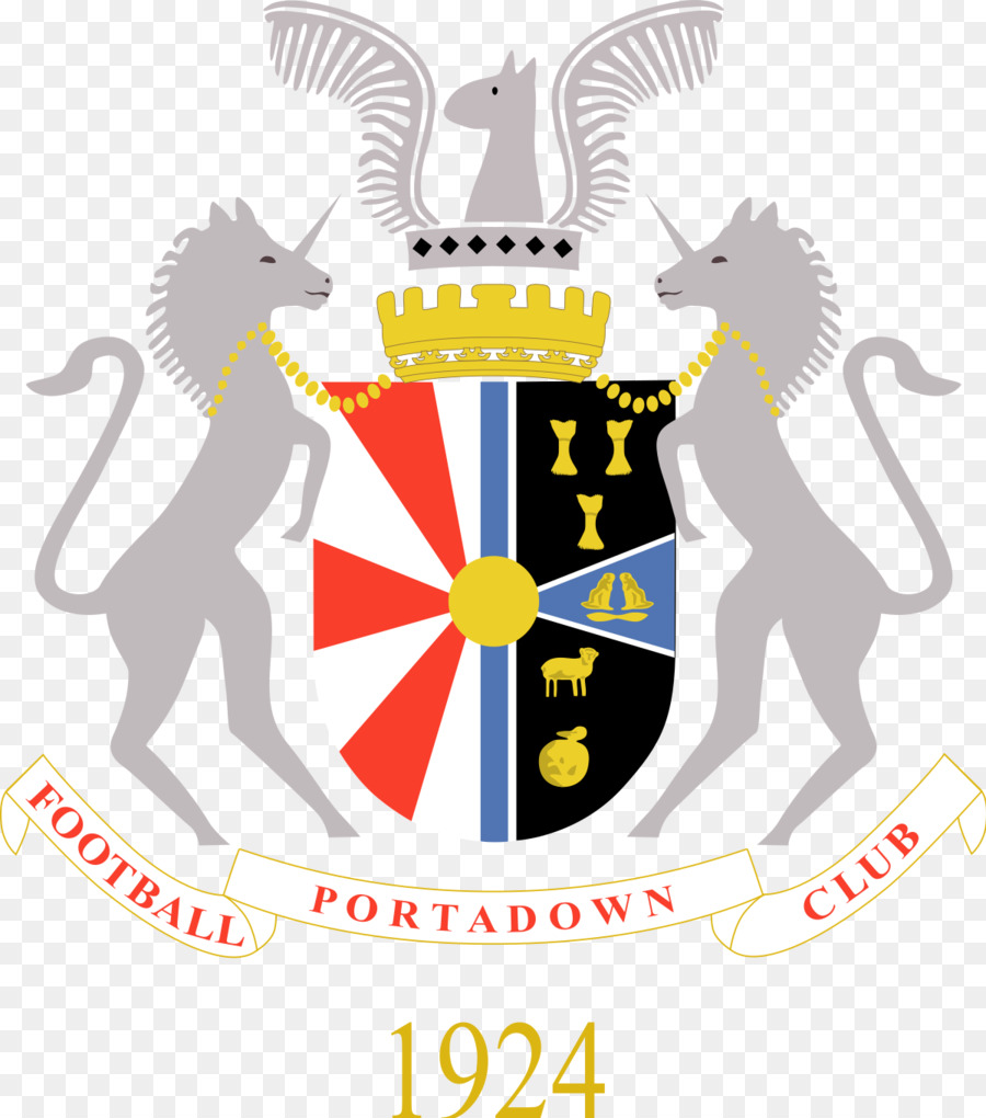 Portadown Fc，Copa Irlandesa 201516 PNG