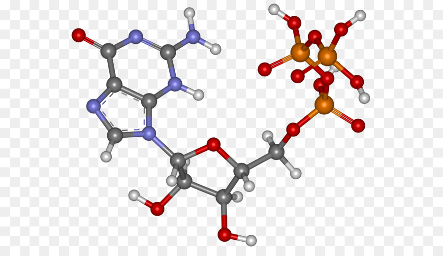 Estrutura Molecular，Molécula PNG