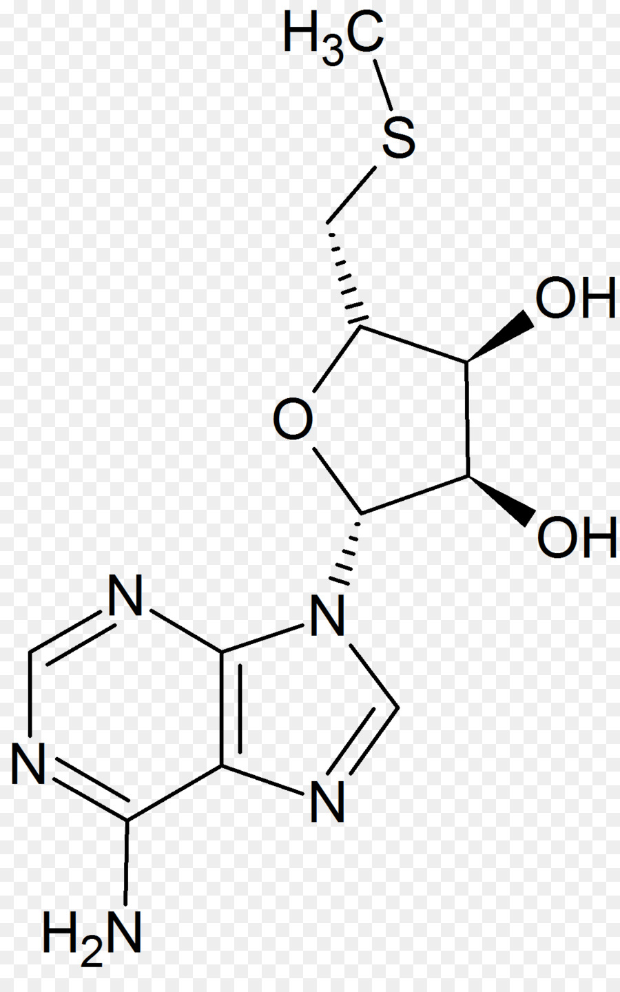 Estrutura Química，Molécula PNG