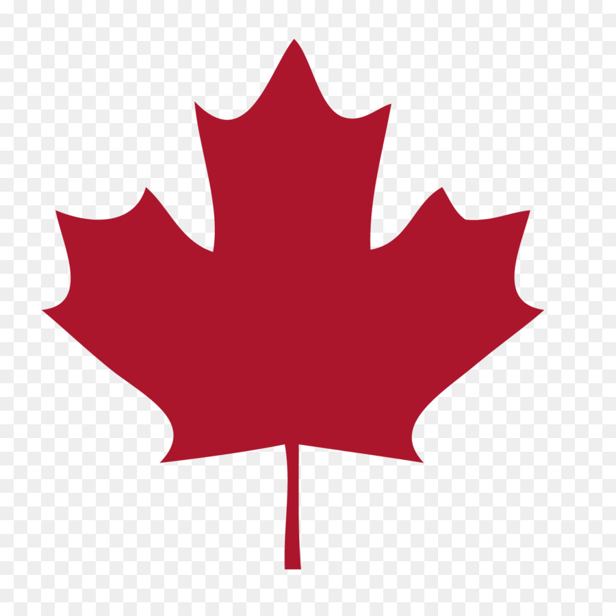 Canadá，Bandeira Do Canadá PNG