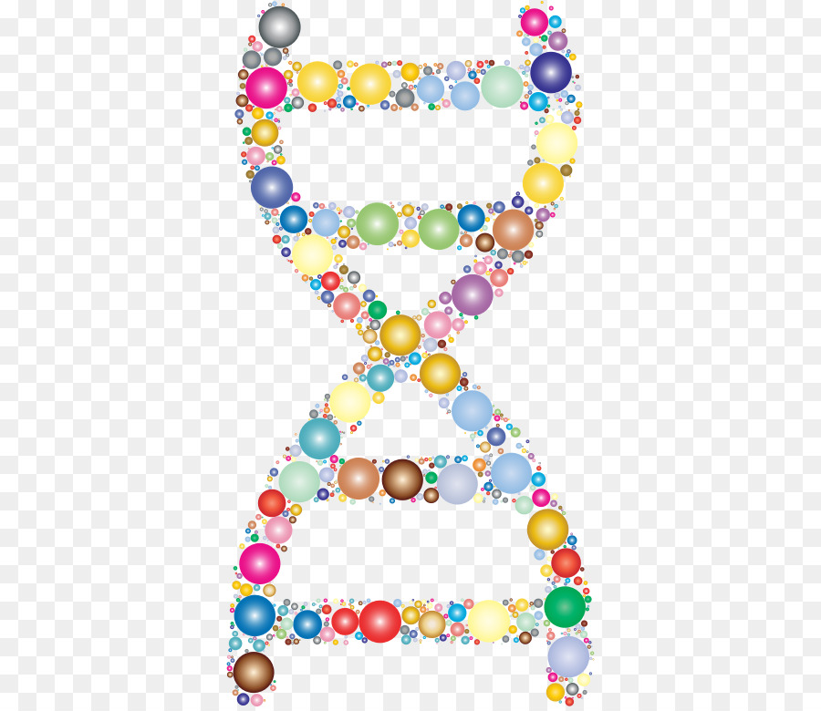 Dupla Hélice De Um Relato Pessoal Sobre A Descoberta Da Estrutura Do Dna，ácido Nucleico Dupla Hélice PNG