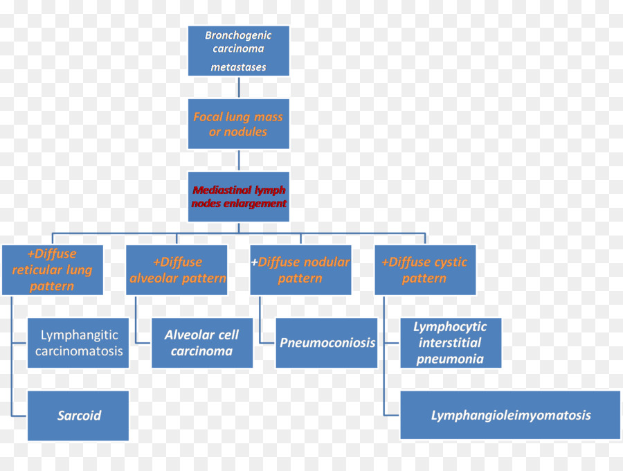 Gráfico Organizacional，Estrutura De Divisão De Trabalho PNG