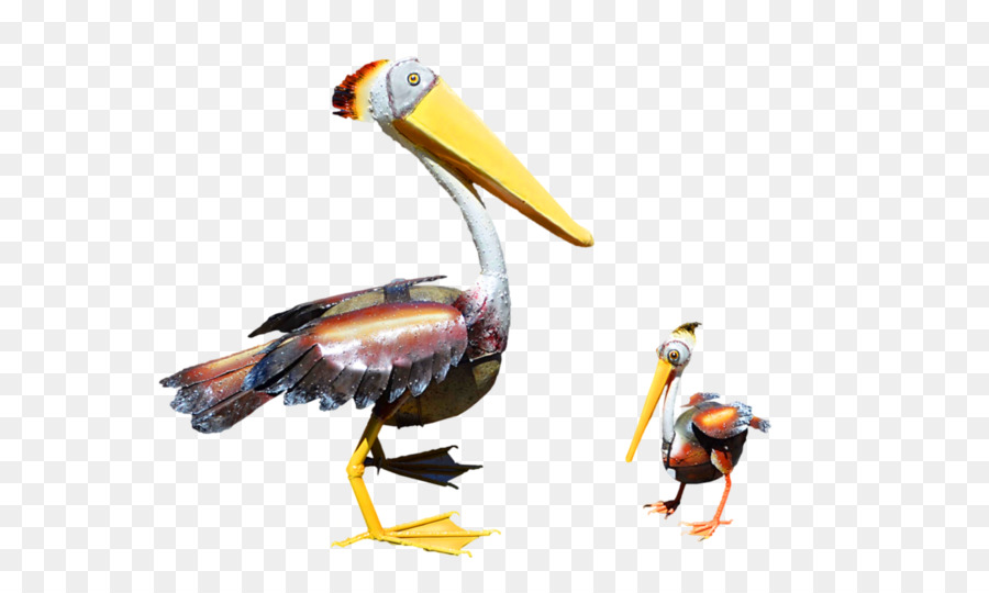 Pelicano，Tucano PNG