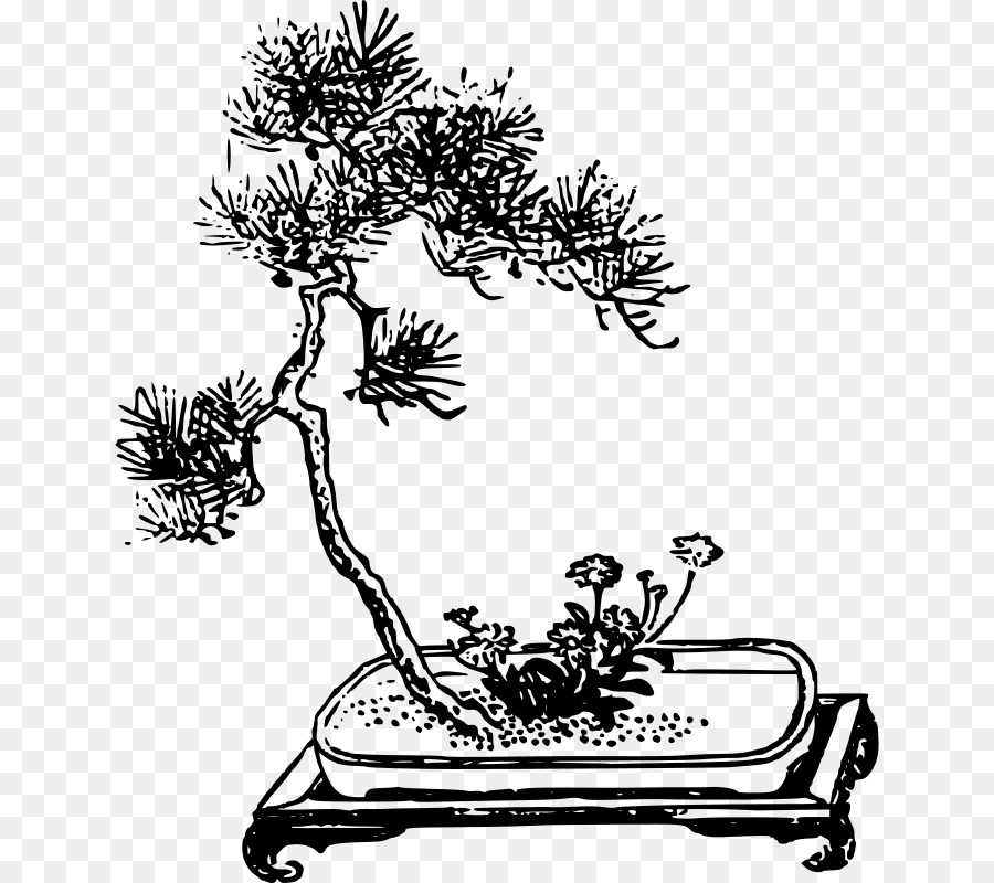 Ramo，Bonsai PNG