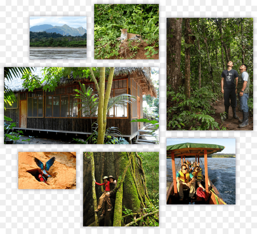 No Departamento De Beni，Madidi Selva Ecolodge PNG