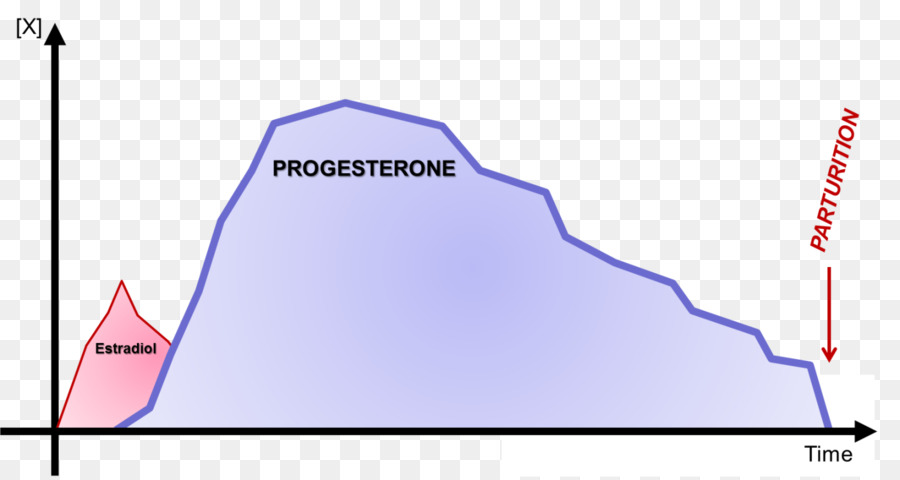 Estradiol，A Progesterona PNG