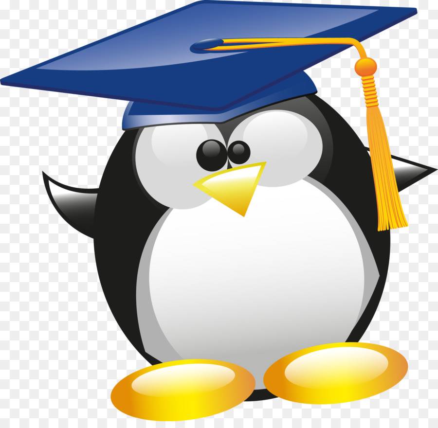 Pinguim De Formatura，Boné PNG