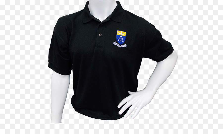 Camisa Polo，Tshirt PNG