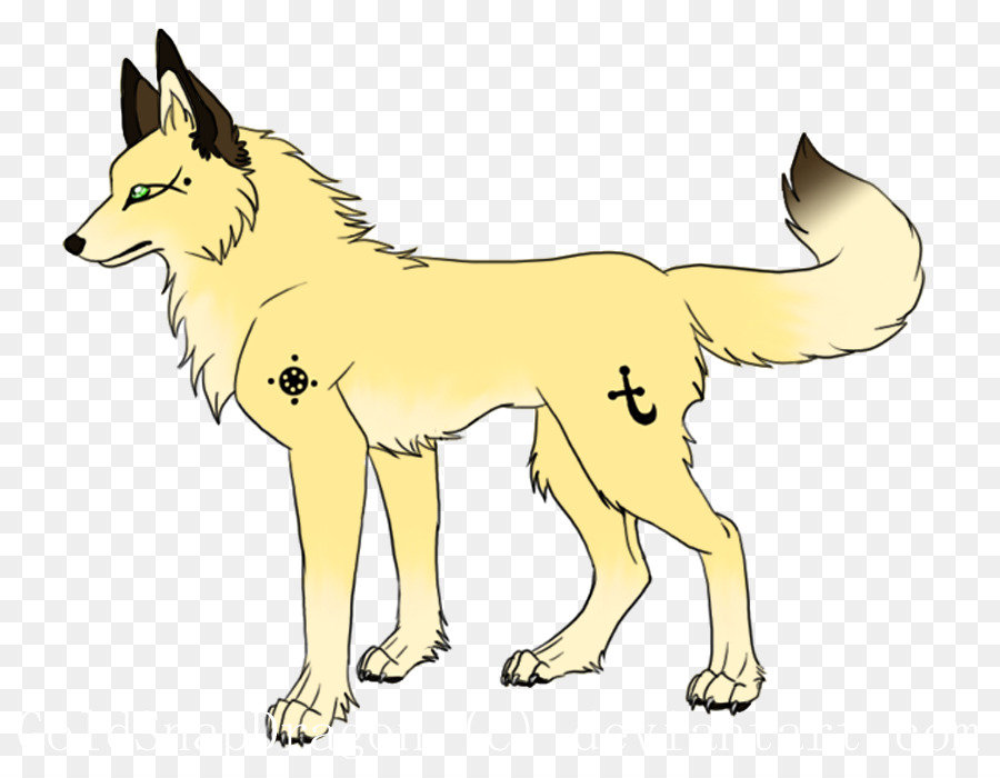 Raça Do Cão，Cachorro PNG