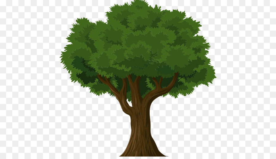 árvore，Aprendizagem PNG