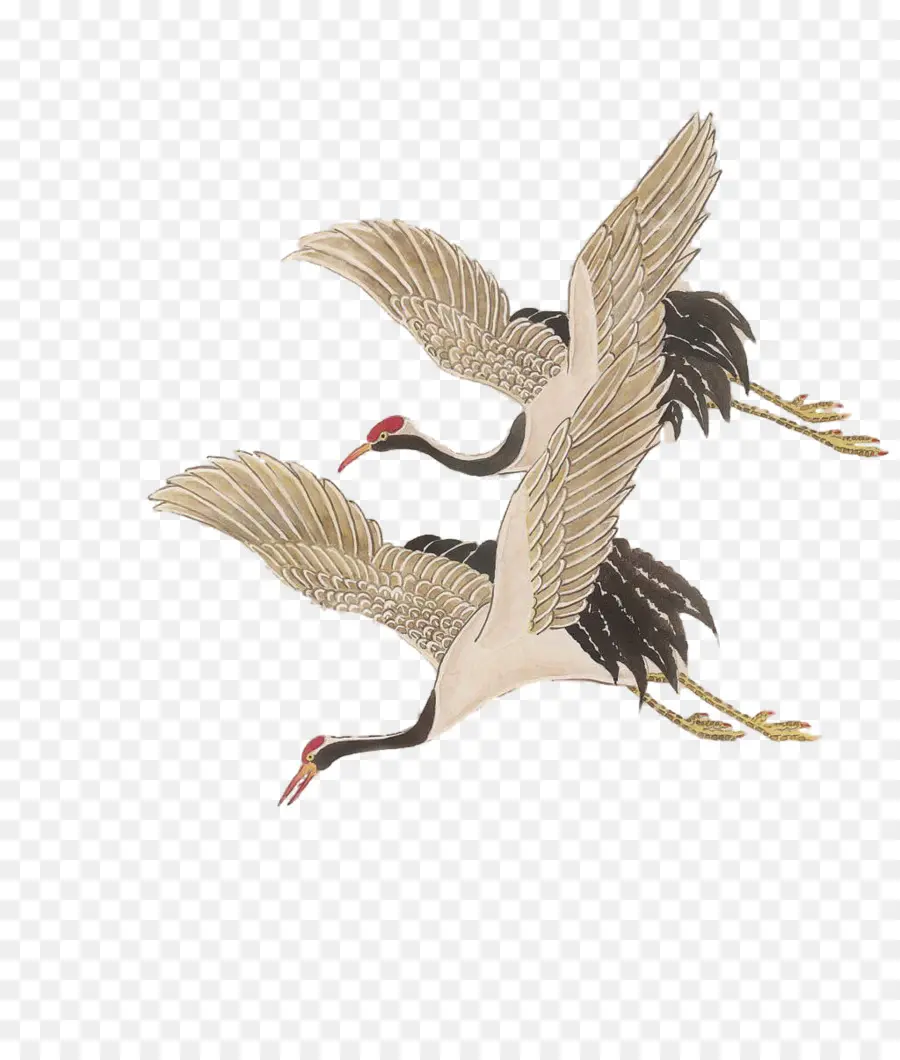 Guindaste，Aves PNG