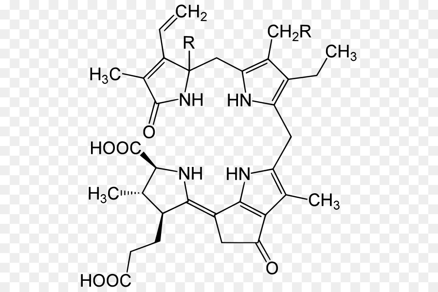 Estrutura Química，Molécula PNG