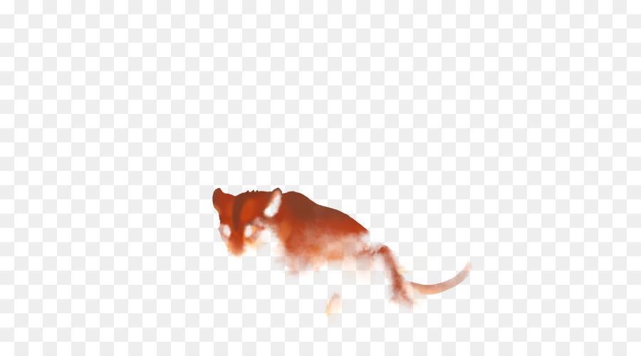 Rat，Cachorro PNG