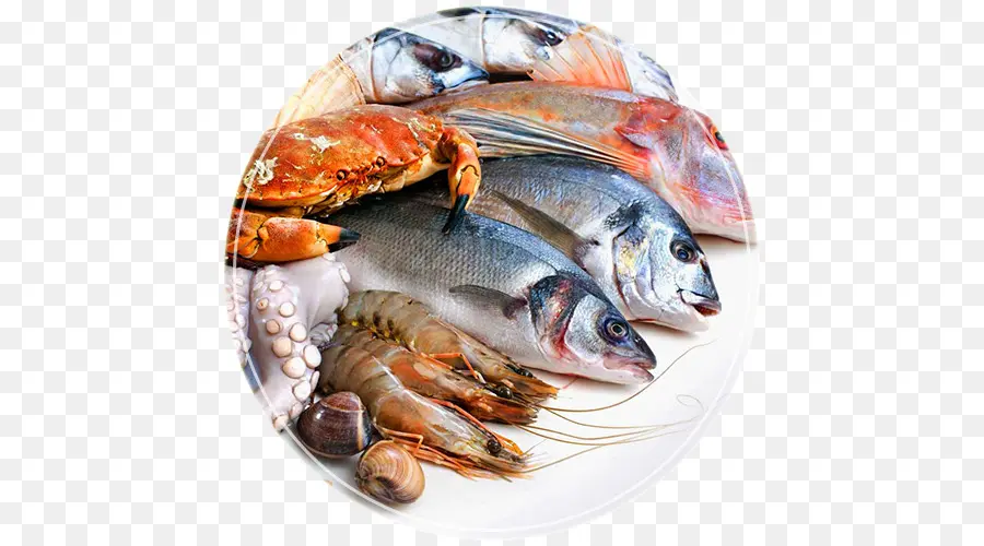 Frutos Do Mar，Peixe PNG