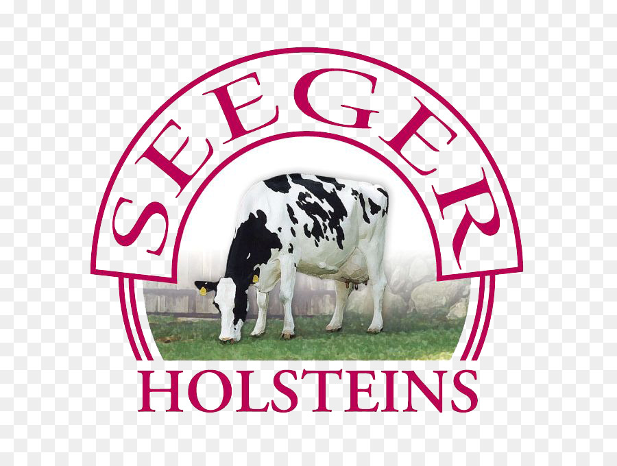 Quintal Seeger，Holstein Frísia Gado PNG