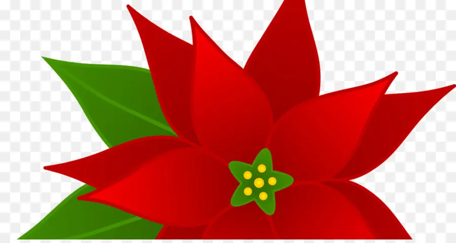 Poinsettia，Clip Art De Natal PNG