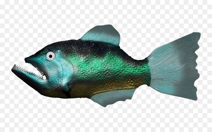 Peixe，Aquático PNG