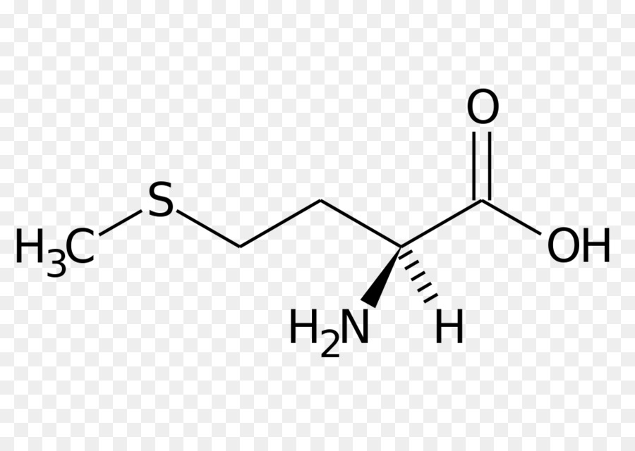 Metionina，Aminoácidos PNG