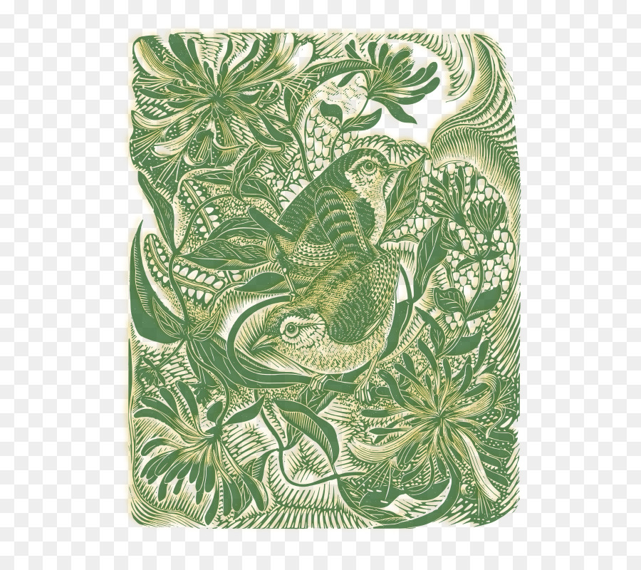 Pássaros，Natureza PNG