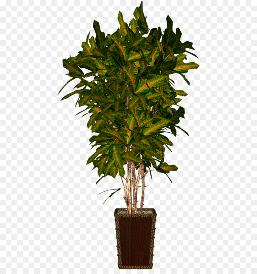 Flowerpot，Planta PNG