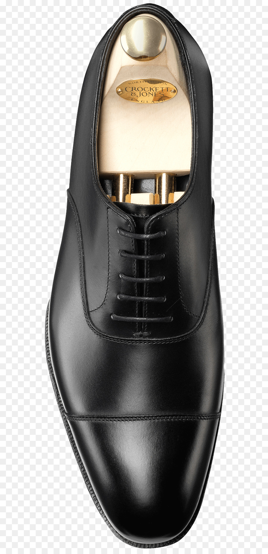 Sapato，Sapato Oxford PNG