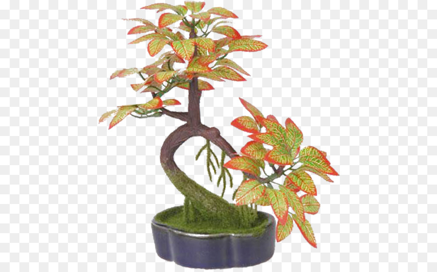 Árvore Bonsai，Miniatura PNG