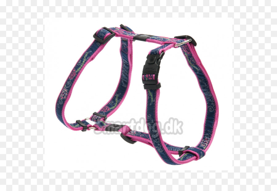 Leash，Colar PNG