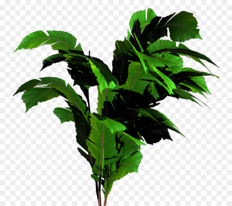 Folhas Verdes，Natureza PNG