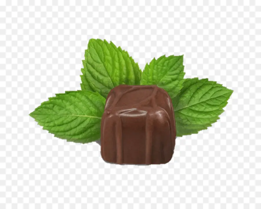 Trufa De Chocolate，Chocolate PNG