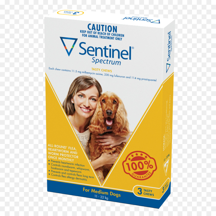 Cachorro，Dirofilariose PNG