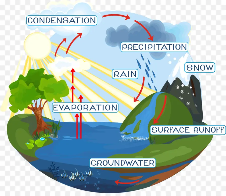 Ciclo Da água，Diagrama De PNG