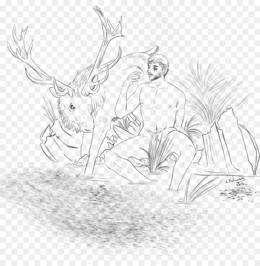 Deer，Lebre PNG