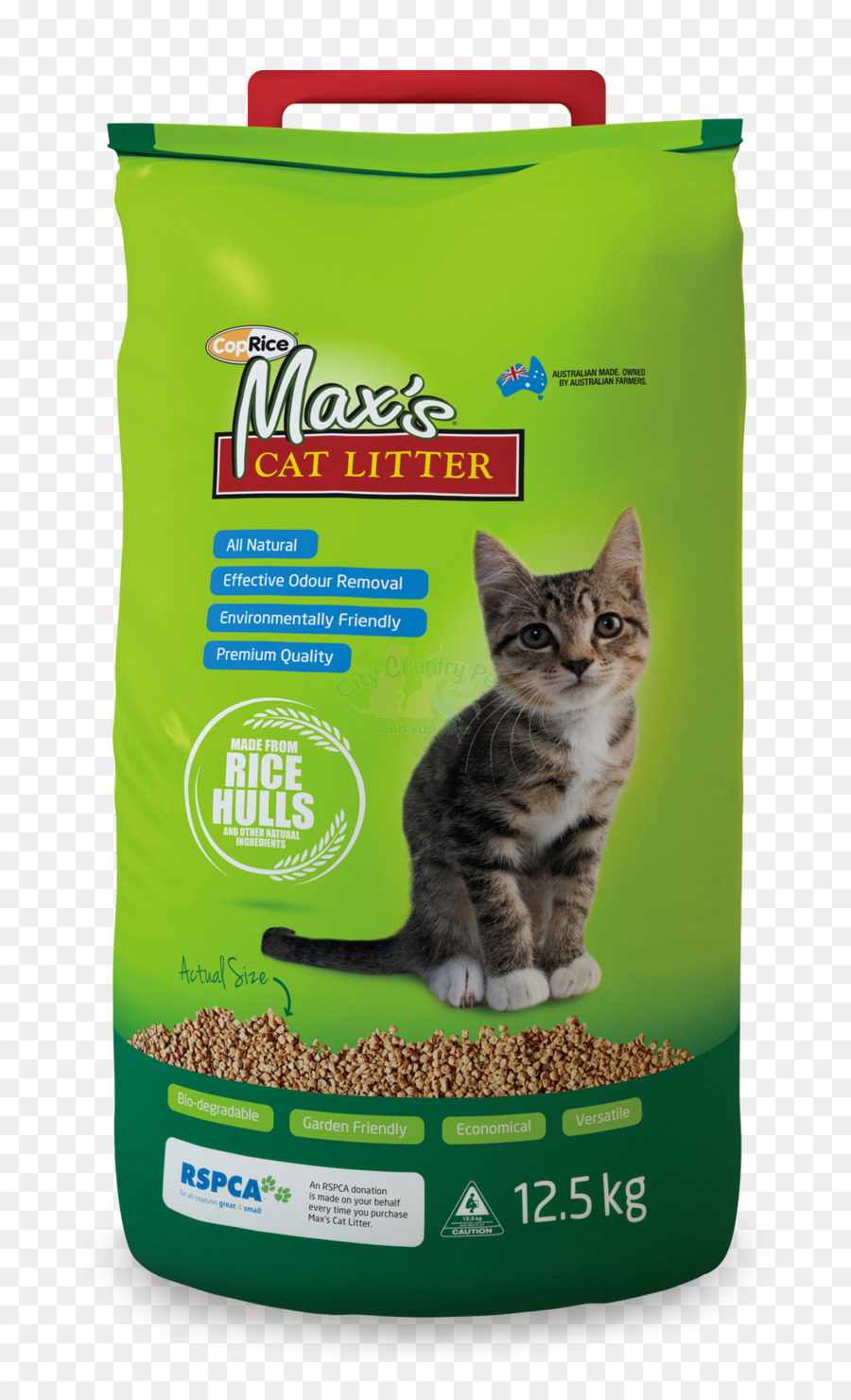 Maca De Gato，Gato PNG