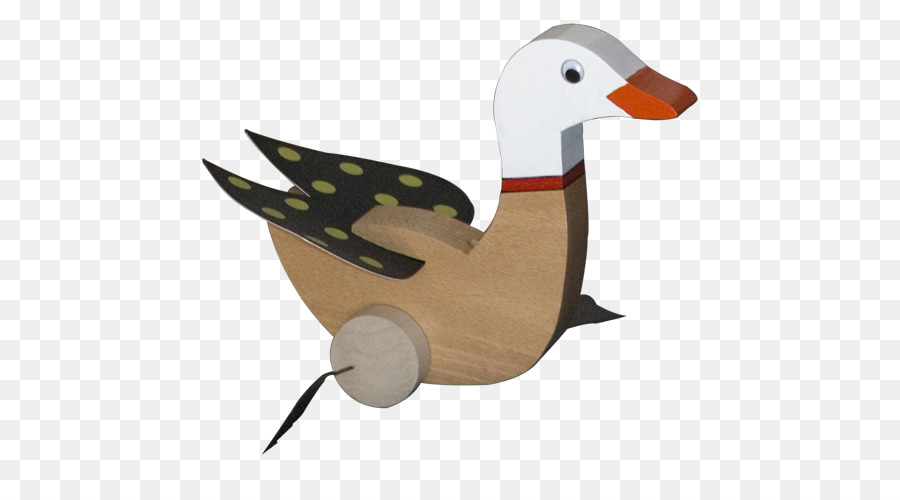 Pato Real，Pato PNG