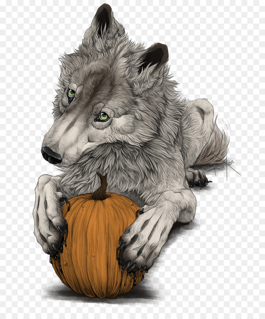 Lobo Com Abóbora，Abóbora PNG