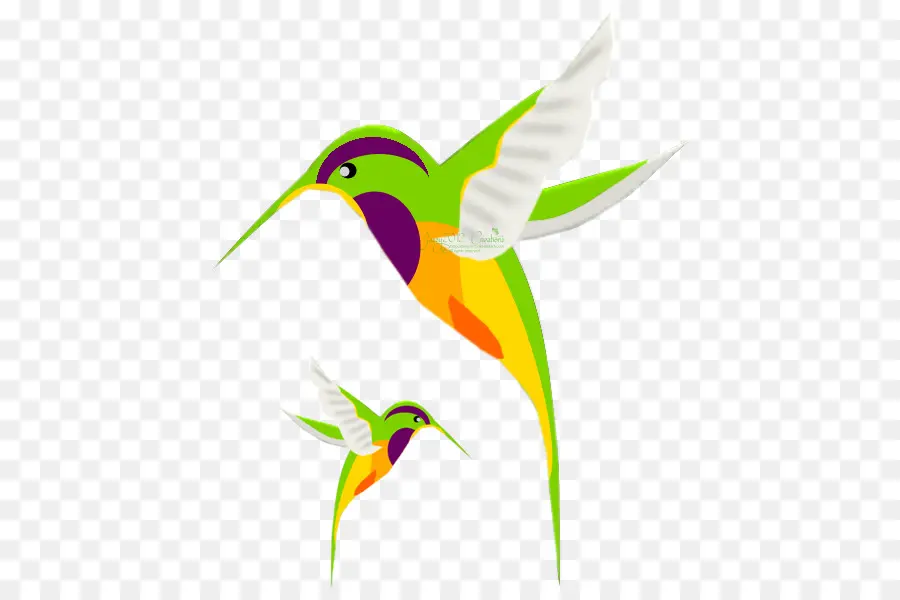 Colibri，Vôo PNG