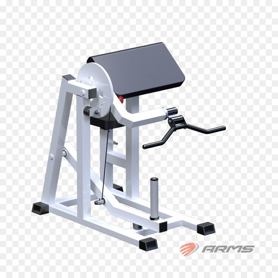 Máquina De Exercícios，Aptidão Física PNG