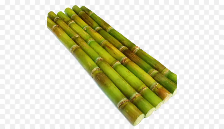 Sugarcane，Fotografia De Stock PNG