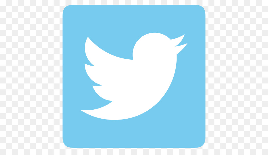 Logotipo Do Twitter，Mídia Social PNG