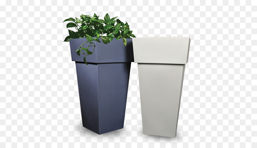 Flowerpot，Videira PNG